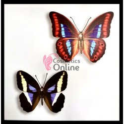 Tablou / Poster pentru decor salon  3D din vinil Cod  TPA054 L